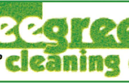 Bee Green Cleaning Company Discount