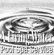 A Living Water Pool Spa Service Sale