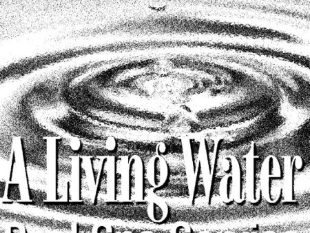 A Living Water Pool Spa Service Sale