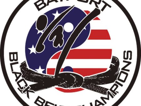 Bay Port Black Belt Champions Online now