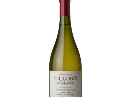 Zuccardi Poligonos Sauvignon Blanc 2021 - 750ML Online